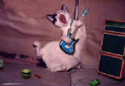 rockin_cat.jpg