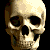 skully.gif